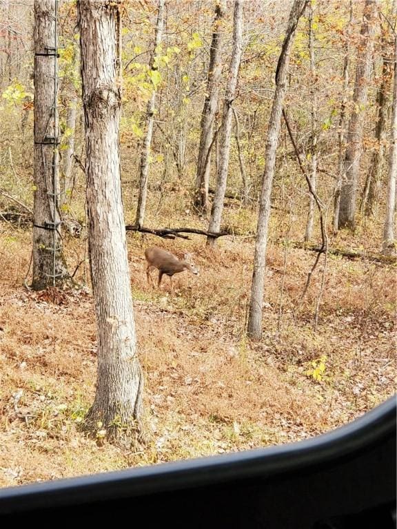 696 Old Hwy 66, Leslie, AR 72645 - photo 33