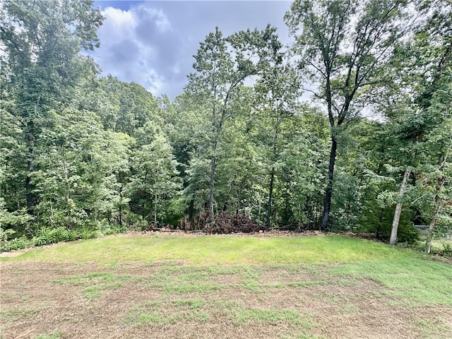 27 Kirkcudbright Ln, Bella Vista, AR 72715 - photo 19