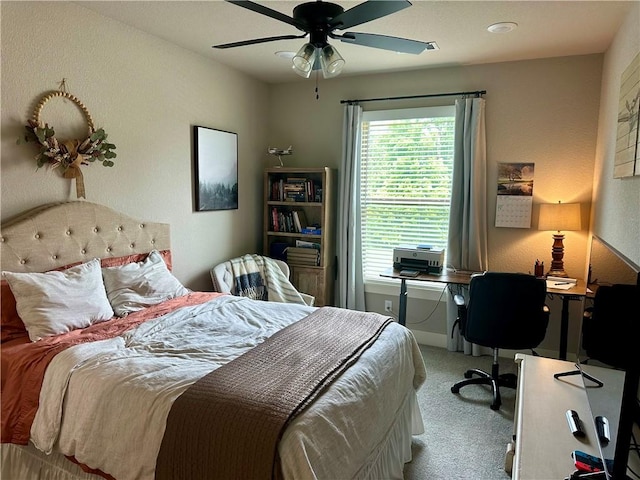 209 NW Highland Rd, Bentonville, AR 72712 - photo 19