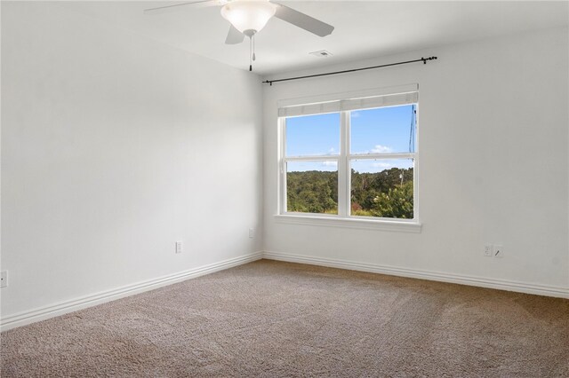 17803 Campbell Ln, Fayetteville, AR 72703 - photo 43