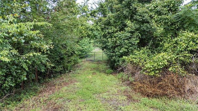 183 Kinder Loop, Russellville, AR 72802 - photo 2
