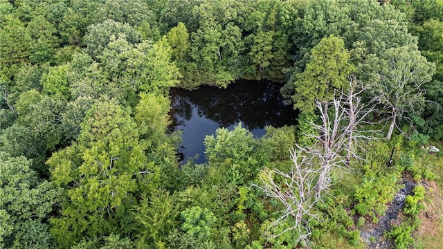183 Kinder Loop, Russellville, AR 72802 - photo 4
