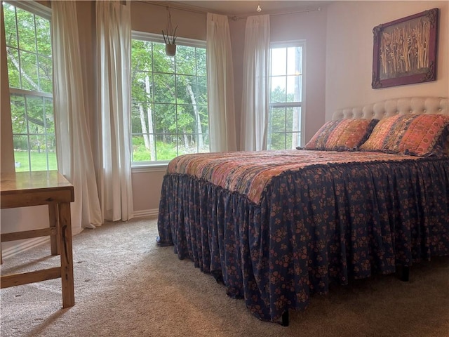1 Narrows Dr, Holiday Island, AR 72631 - photo 22