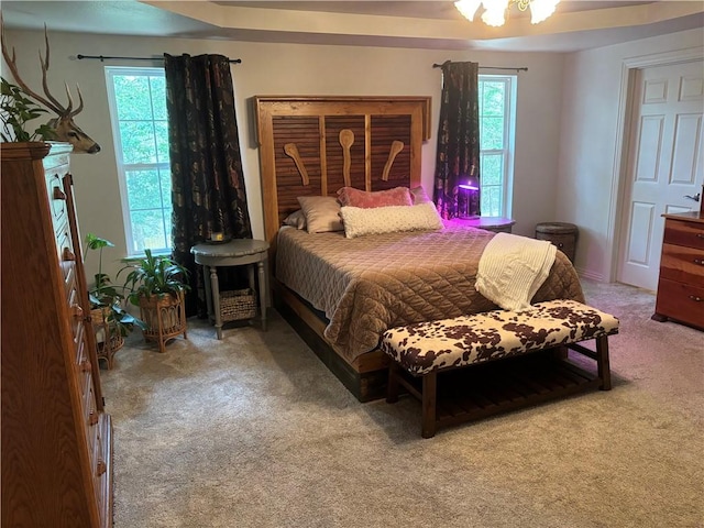 1 Narrows Dr, Holiday Island, AR 72631 - photo 13