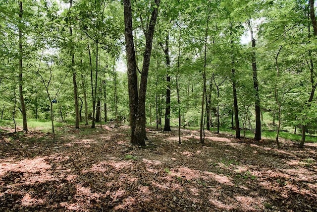 112 N Pleasant Ridge Dr, Rogers, AR 72756 - photo 23