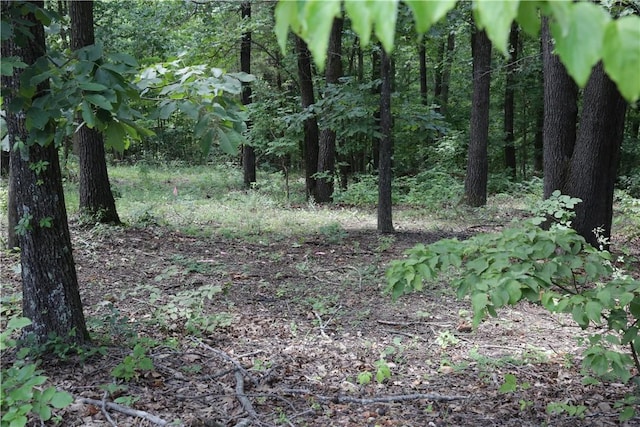 LOT34, BLOCK3 Runnymede Ln, Bella Vista, AR 72715 - photo 1