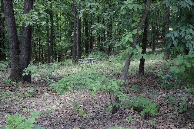 LOT34, BLOCK3 Runnymede Ln, Bella Vista, AR 72715 - photo 2