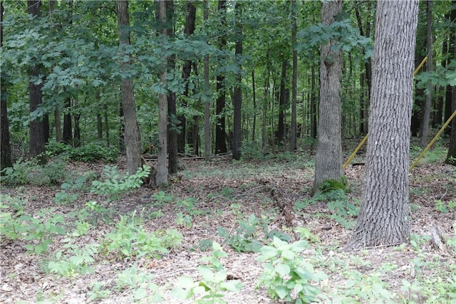 LOT34, BLOCK3 Runnymede Ln, Bella Vista, AR 72715 - photo 3