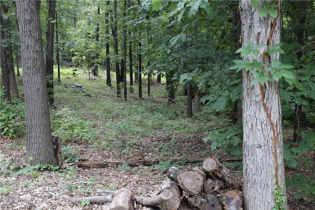 LOT34, BLOCK3 Runnymede Ln, Bella Vista, AR 72715 - photo 4