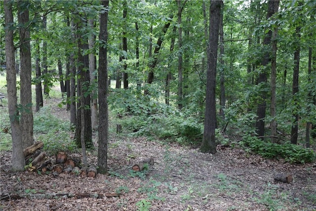 LOT34, BLOCK3 Runnymede Ln, Bella Vista, AR 72715 - photo 5