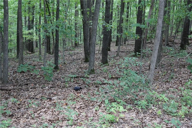 LOT34, BLOCK3 Runnymede Ln, Bella Vista, AR 72715 - photo 6