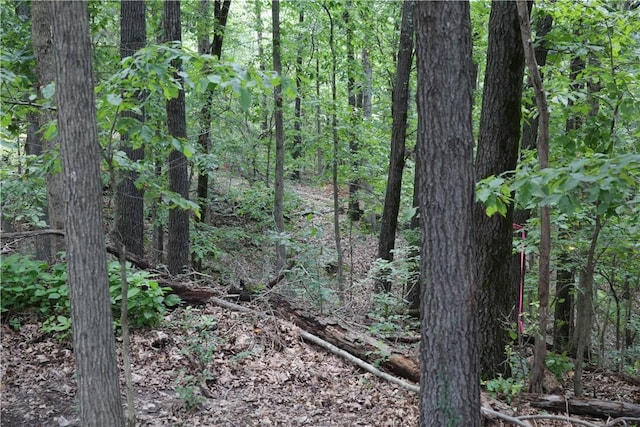 LOT34, BLOCK3 Runnymede Ln, Bella Vista, AR 72715 - photo 7