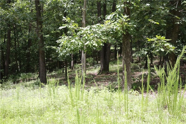 LOT34, BLOCK3 Runnymede Ln, Bella Vista, AR 72715 - photo 8