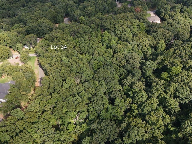 LOT34, BLOCK3 Runnymede Ln, Bella Vista, AR 72715 - photo 11