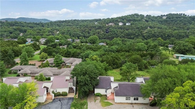53 Woodsdale Dr Unit 1, Holiday Island, AR 72631 - photo 20