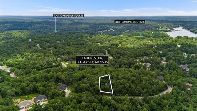 Caithness Dr, Bella Vista, AR 72715 - photo 1