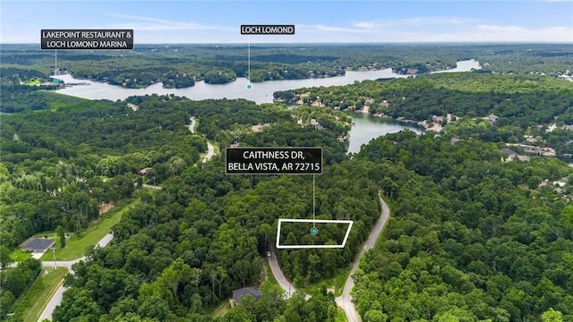 Caithness Dr, Bella Vista, AR 72715 - photo 2