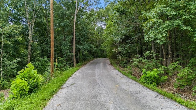 Caithness Dr, Bella Vista, AR 72715 - photo 4