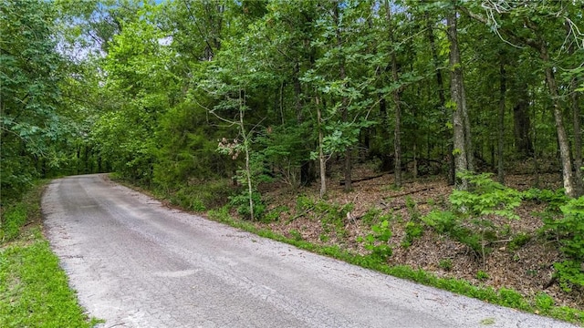 Caithness Dr, Bella Vista, AR 72715 - photo 5