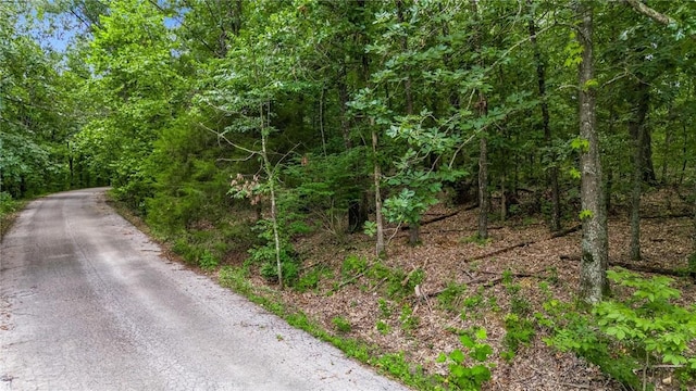 Caithness Dr, Bella Vista, AR 72715 - photo 6