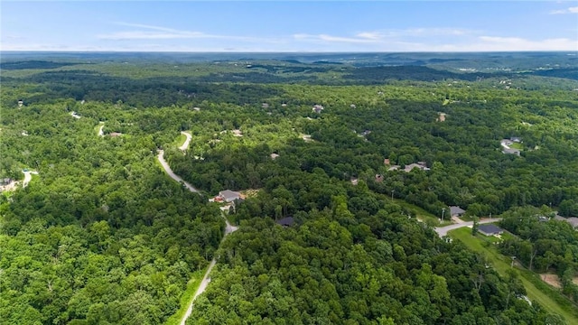 Caithness Dr, Bella Vista, AR 72715 - photo 13
