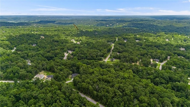 Caithness Dr, Bella Vista, AR 72715 - photo 15
