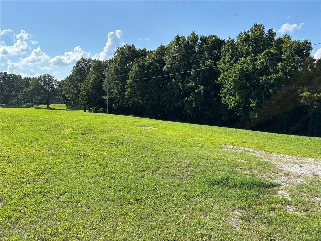 Clearview Dr, Omaha, AR 72662 - photo 1