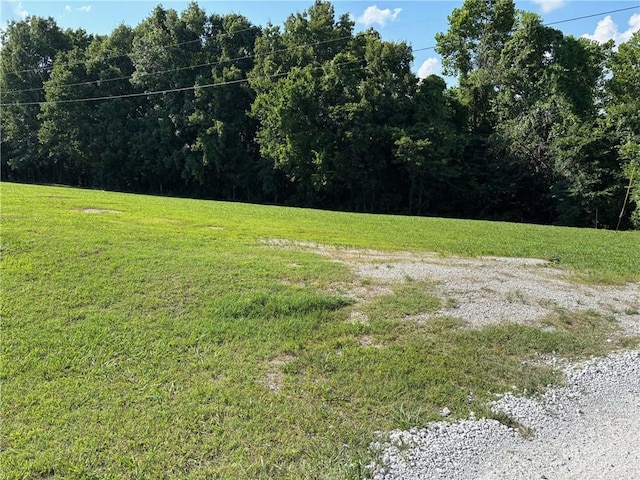 Clearview Dr, Omaha, AR 72662 - photo 2