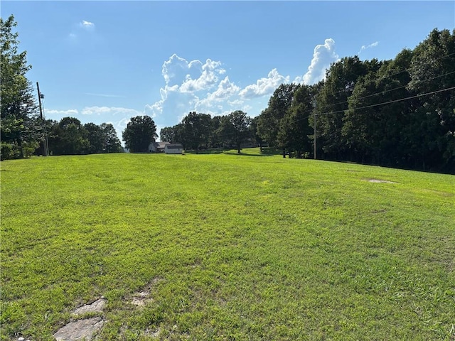 Clearview Dr, Omaha, AR 72662 - photo 3