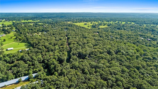 10933 Ginnys, Gravette, AR 72736 - photo 5