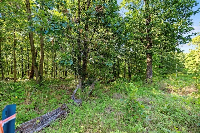 10933 Ginnys, Gravette, AR 72736 - photo 7