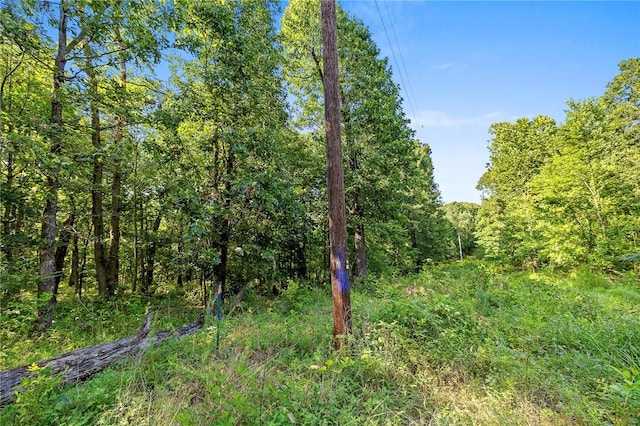 10933 Ginnys, Gravette, AR 72736 - photo 8