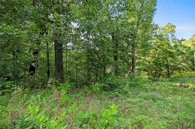 10933 Ginnys, Gravette, AR 72736 - photo 9