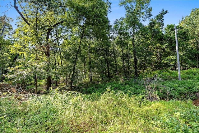 10933 Ginnys, Gravette, AR 72736 - photo 10