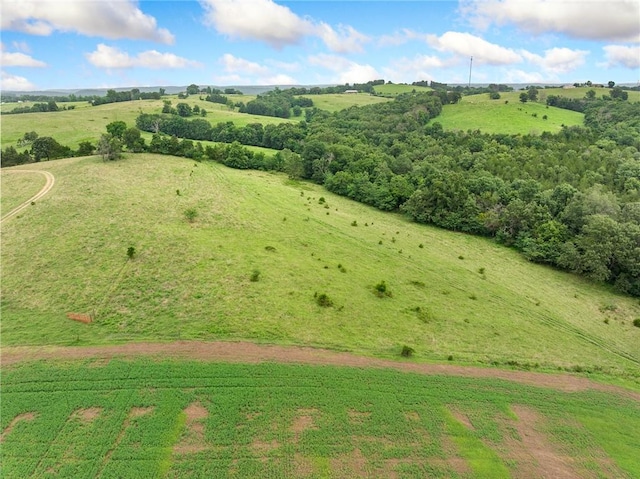 1100 Mc 4013, Harrison, AR 72601 - photo 46