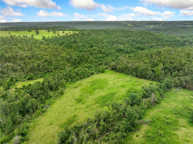1100 Mc 4013, Harrison, AR 72601 - photo 48