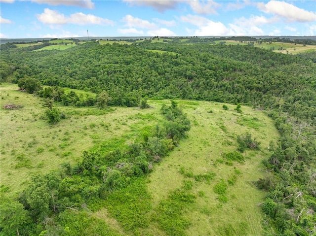 1100 Mc 4013, Harrison, AR 72601 - photo 49
