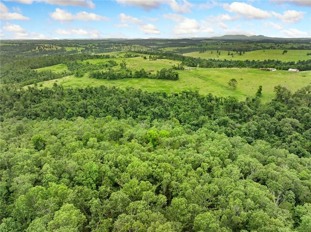 1100 Mc 4013, Harrison, AR 72601 - photo 50