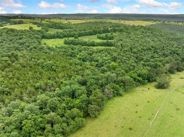 1100 Mc 4013, Harrison, AR 72601 - photo 52