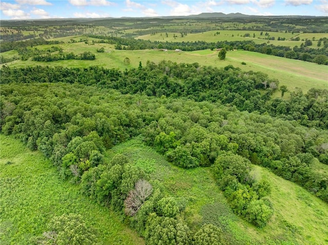 1100 Mc 4013, Harrison, AR 72601 - photo 54