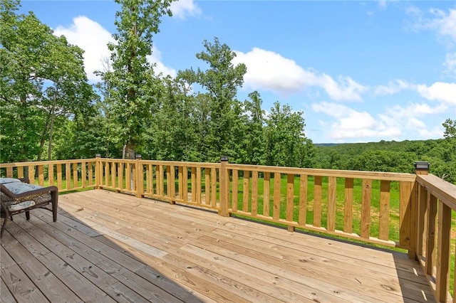 3025 Osbourne Rd, Saint Joe, AR 72675 - photo 15