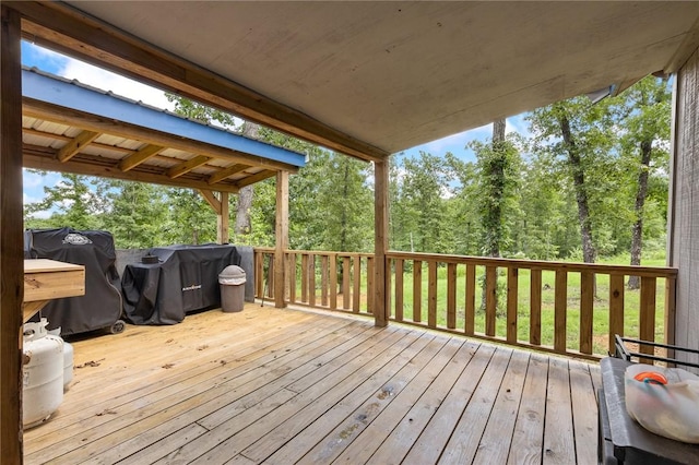 3025 Osbourne Rd, Saint Joe, AR 72675 - photo 17