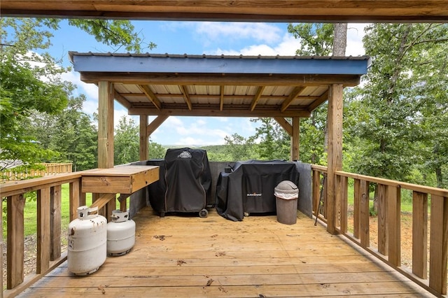 3025 Osbourne Rd, Saint Joe, AR 72675 - photo 18