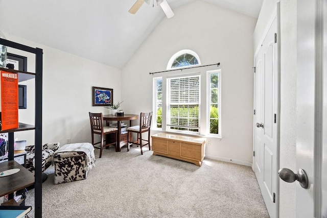 1501 N Shetland Dr, Fayetteville, AR 72704 - photo 14