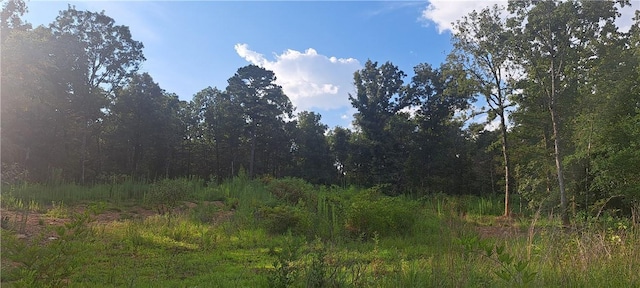 5BTBD Spring Creek Ln, Cecil, AR 72930 - photo 1