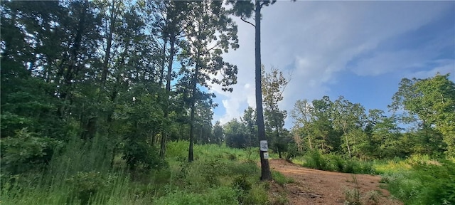 5BTBD Spring Creek Ln, Cecil, AR 72930 - photo 2