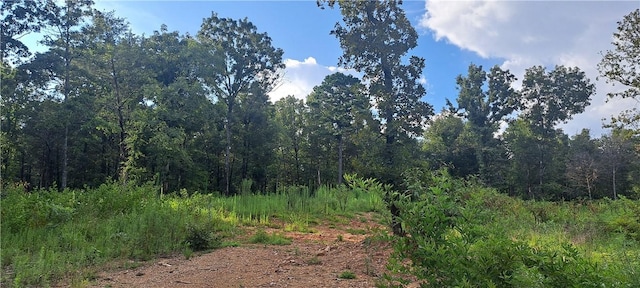 5BTBD Spring Creek Ln, Cecil, AR 72930 - photo 3