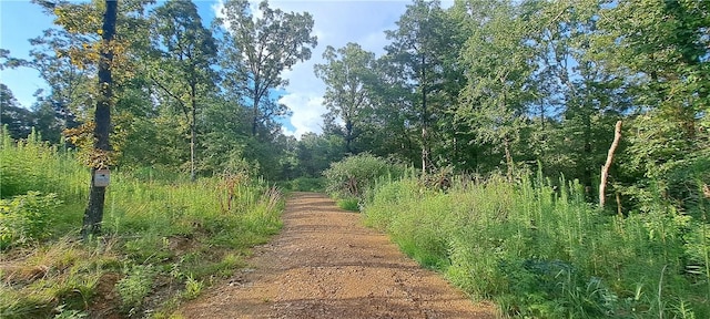 5BTBD Spring Creek Ln, Cecil, AR 72930 - photo 4
