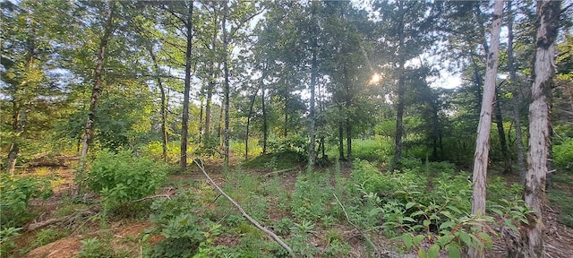 5BTBD Spring Creek Ln, Cecil, AR 72930 - photo 5
