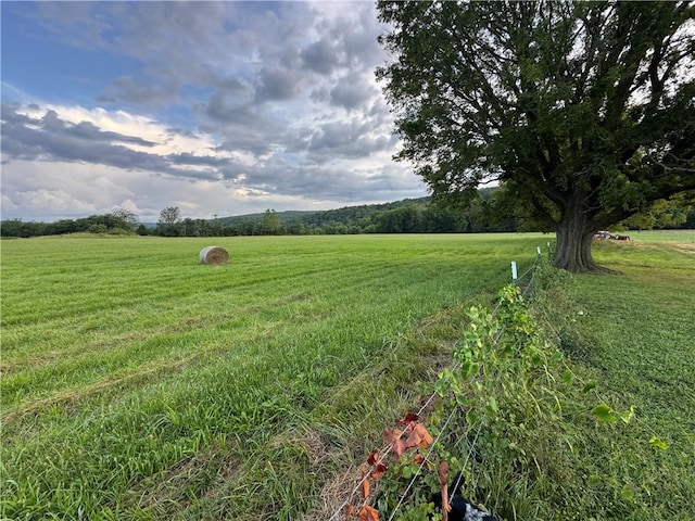 17381 23rd Hwy, Huntsville, AR 72740 - photo 32